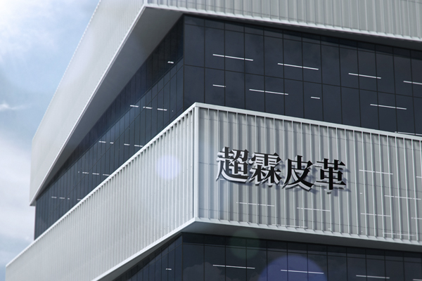Dongguan Chaolin Leather Co., Ltd