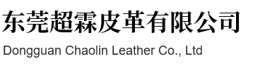 Dongguan Chaolin Leather Co., Ltd